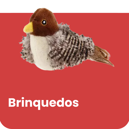 Brinquedos