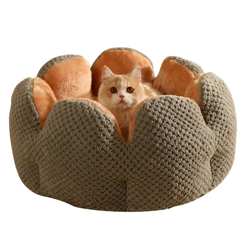 Cama Puppy para pets