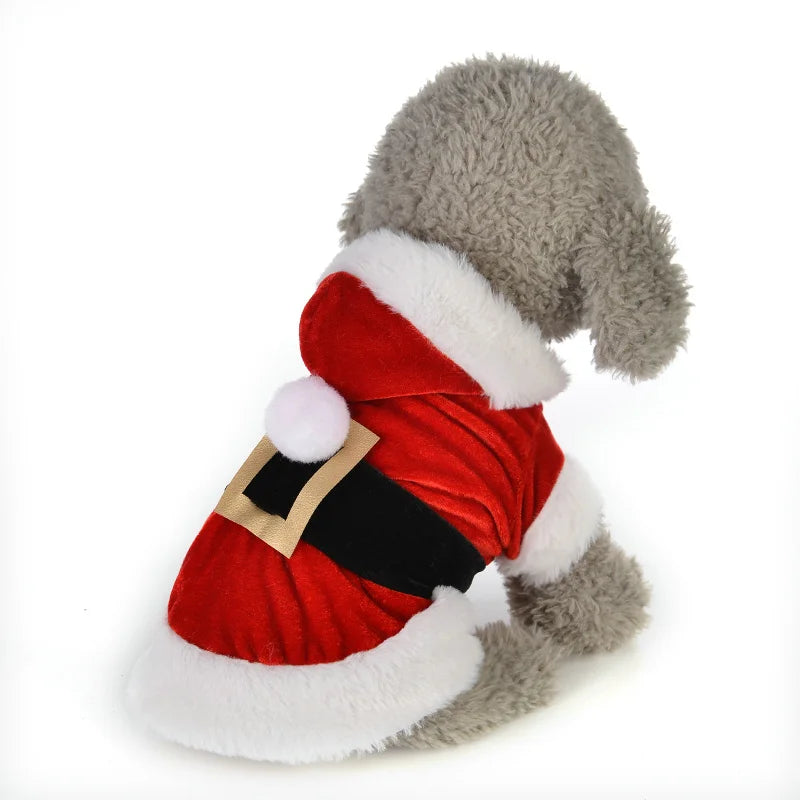 Roupinha de Papai Noel para pets