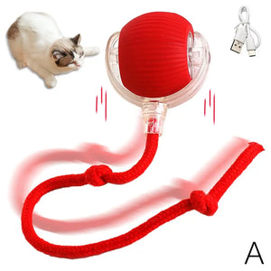 Bolinha interatiiva para pets